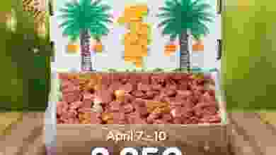 el3rod.com00009-129