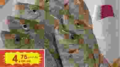 el3rod.com00009-244