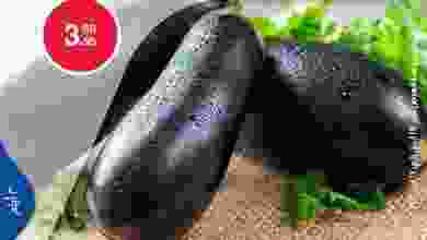 el3rod.com00011-234