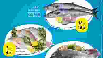 el3rod.com00016-294