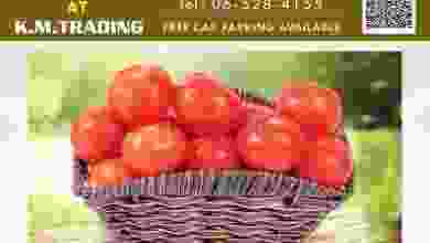 el3rod.com00025-142