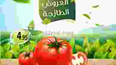 el3rod.com00001-105