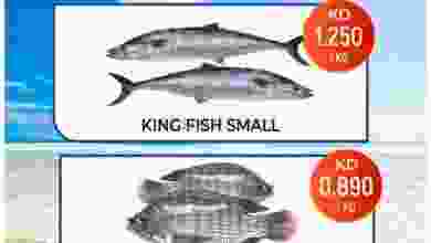 el3rod.com00001-122