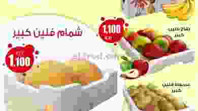 el3rod.com00001-1228