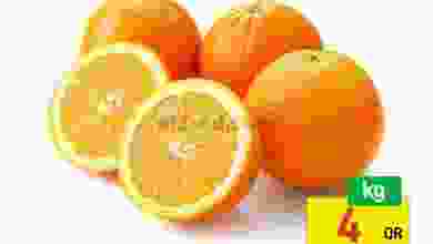 el3rod.com00001-1264