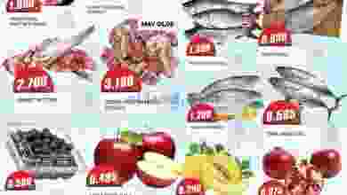 el3rod.com00001-164