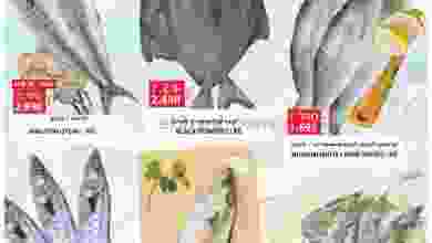 el3rod.com00001-3