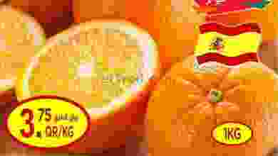 el3rod.com00001-351