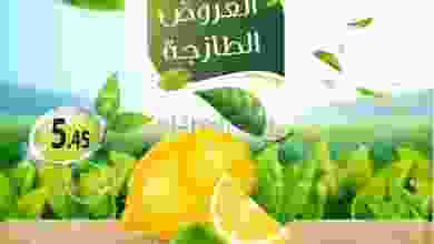 el3rod.com00001-445