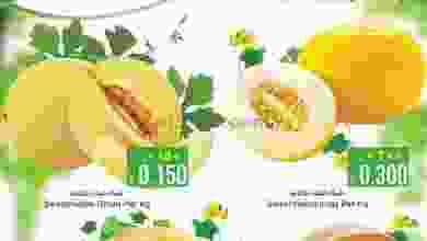 el3rod.com00001-467