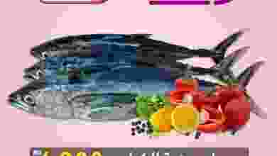el3rod.com00001-520