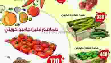 el3rod.com00001-540