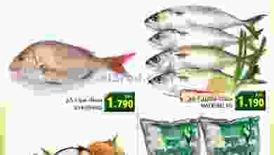 el3rod.com00001-543