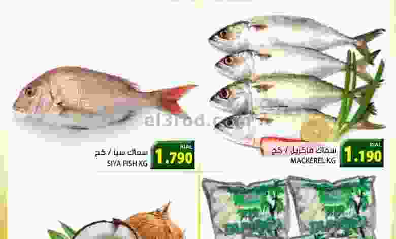 el3rod.com00001-543