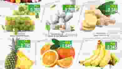 el3rod.com00001-558