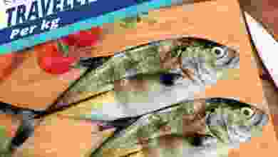 el3rod.com00001-602