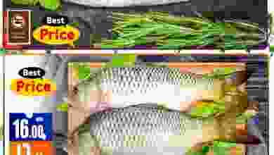 el3rod.com00001-634