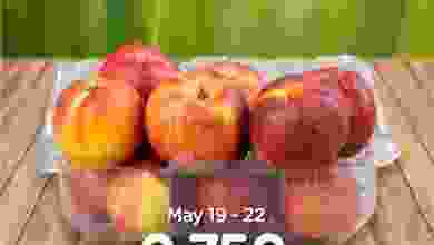 el3rod.com00001-736