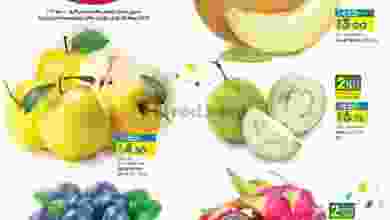 el3rod.com00001-758
