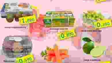 el3rod.com00001-781