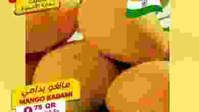 el3rod.com00001-785