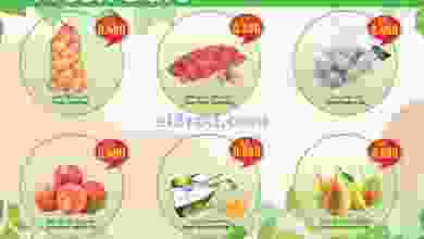 el3rod.com00001-801