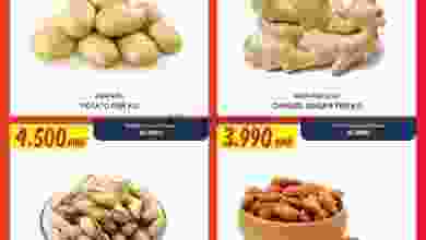 el3rod.com00001-806