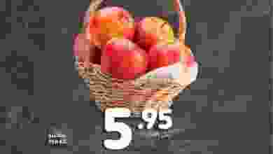 el3rod.com00001-832