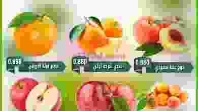 el3rod.com00001-856