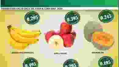 el3rod.com00001-863