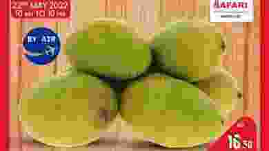 el3rod.com00001-876