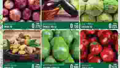 el3rod.com00001-884