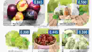 el3rod.com00001-888
