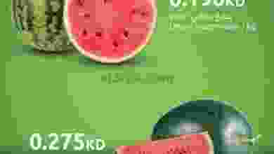 el3rod.com00002-25