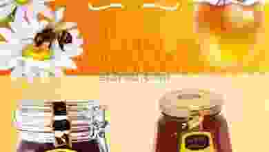 el3rod.com00002-670