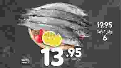 el3rod.com00002-773