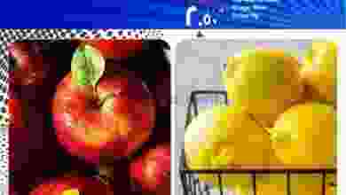 el3rod.com00003-136