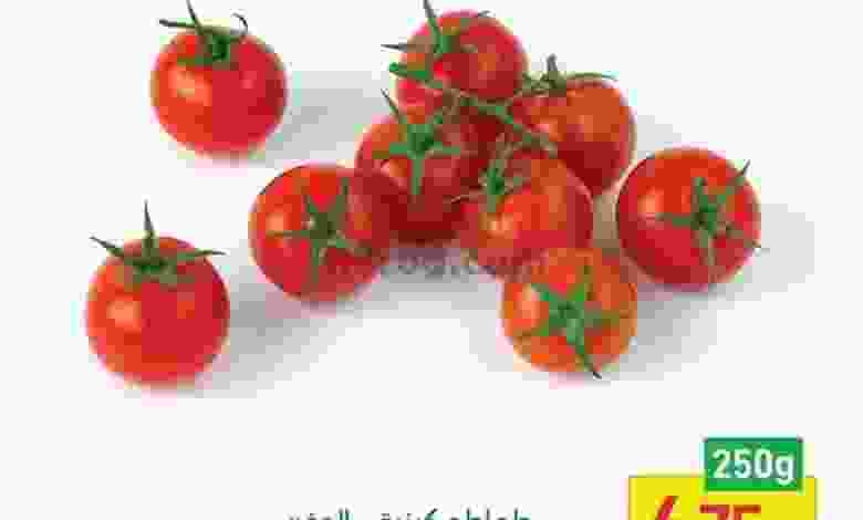 el3rod.com00003-334