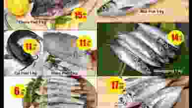 el3rod.com00003-470