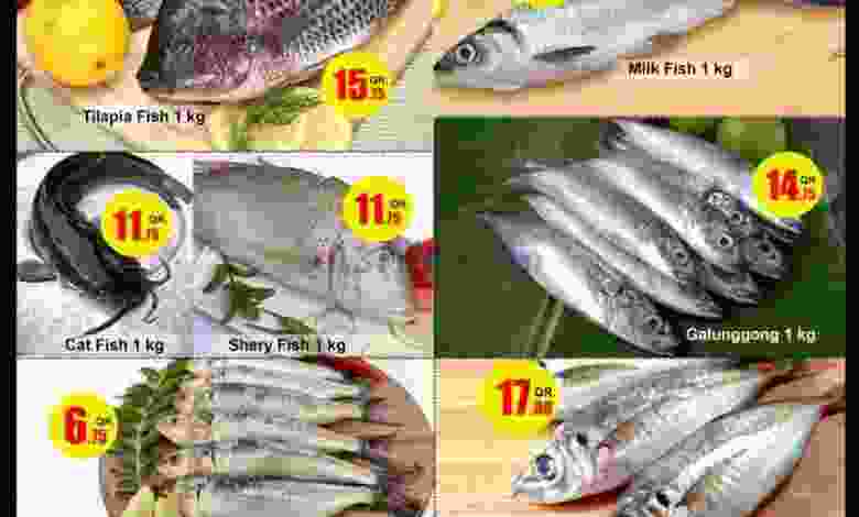 el3rod.com00003-470