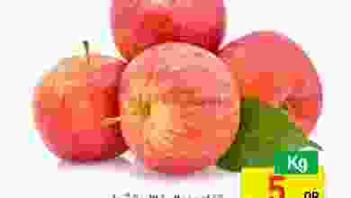 el3rod.com00003-673