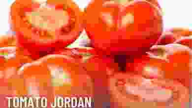 el3rod.com00003-685
