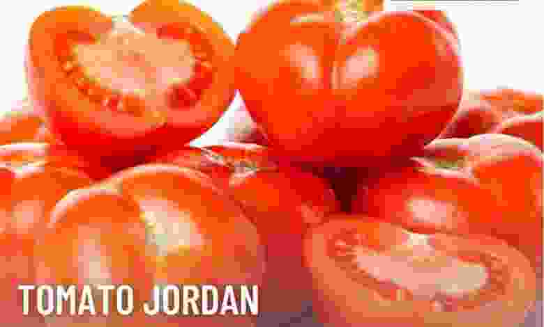 el3rod.com00003-685
