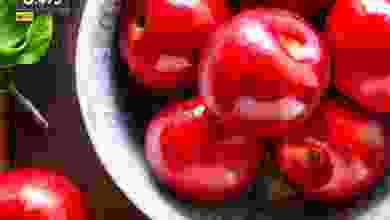 el3rod.com00004-365