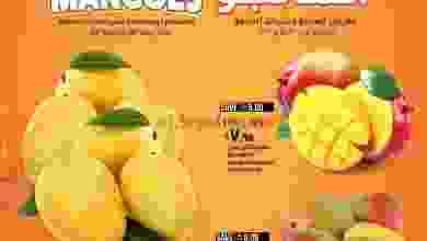 el3rod.com00004-699