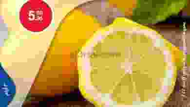 el3rod.com00006-273