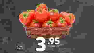 el3rod.com00006-298