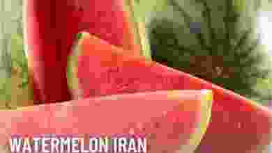 el3rod.com00010-58