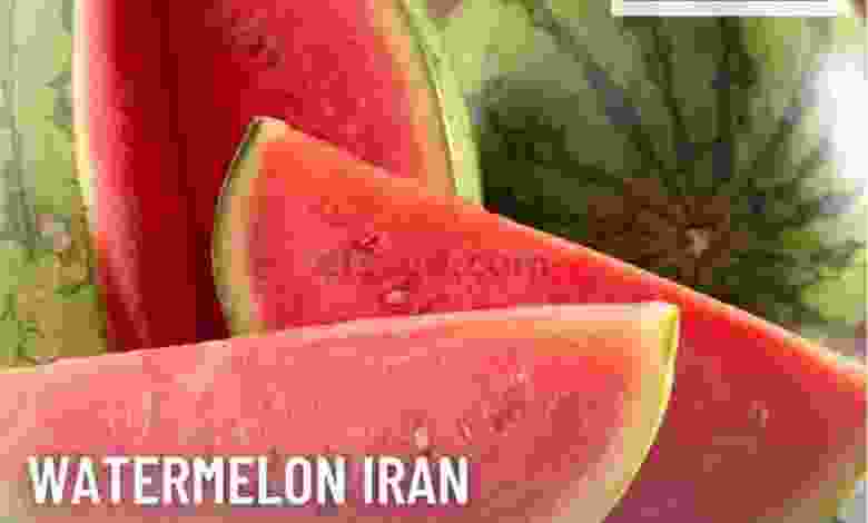 el3rod.com00010-58