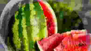 el3rod.com00011-167